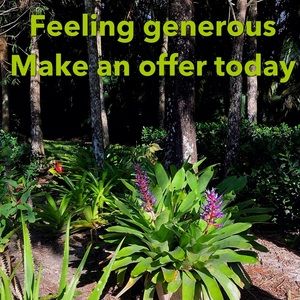 MAKE AN OFFER TODAY 11/10 !